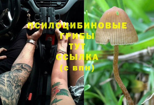 скорость Алексеевка