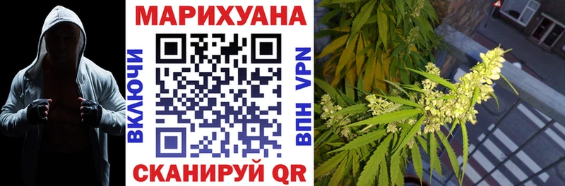 Каннабис сатива  Новоалтайск 